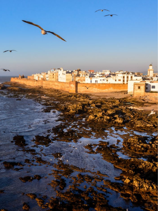 Essaouira Tours